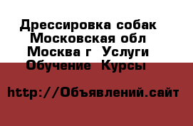 Дрессировка собак - Московская обл., Москва г. Услуги » Обучение. Курсы   